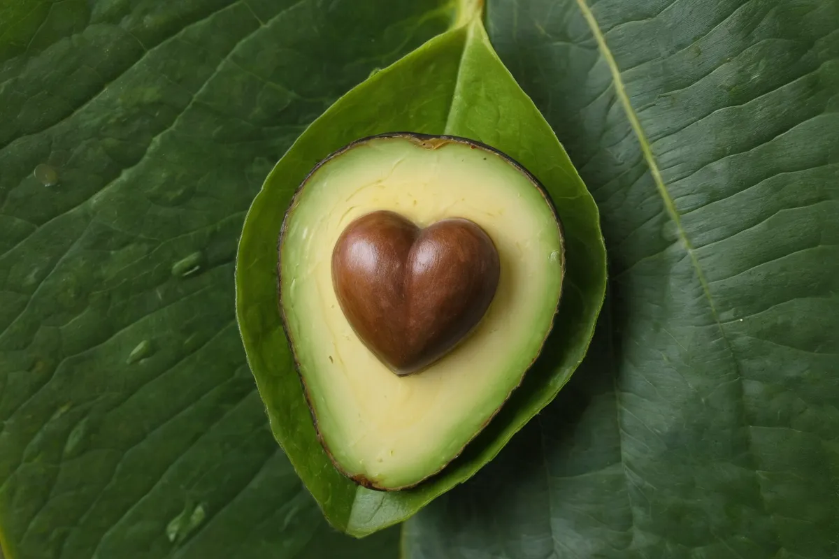 La semilla verde en la hoja del aguacate: símbolo de éxito