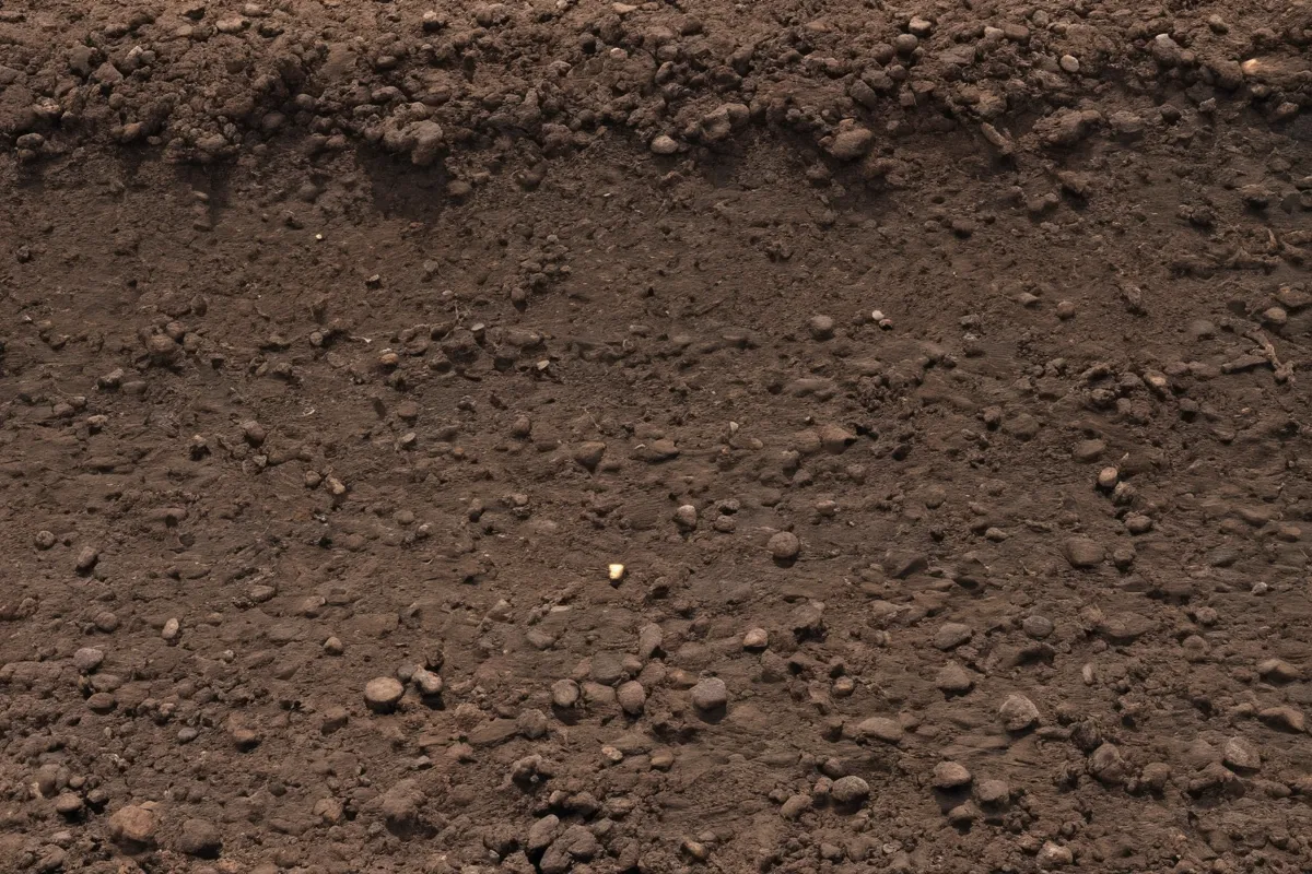 Origen del suelo, horizontes e ingredientes clave