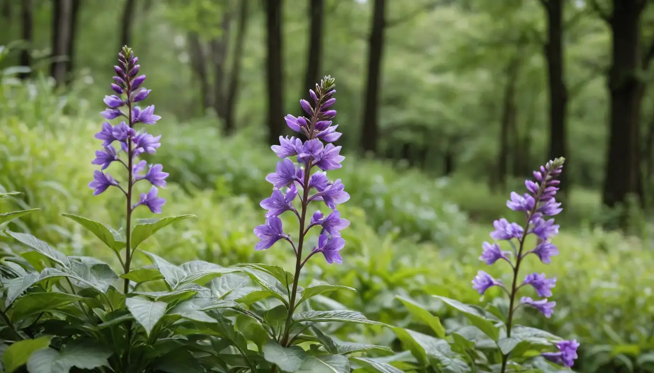 2-3 blooming purple flowers, curved stems, green leaves with a soft focus, natural surroundings like trees or shrubs in the background